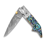 Steel Abalone Luxury Tool - Cailin's