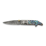 Steel Abalone Luxury Tool - Cailin's