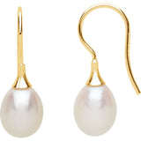 14K Gold French Wire Freshwater Culture Pearl Post Earrings - Cailins | Fine Jewelry + Gifts