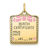 14K Yellow Gold Birth Certificate Necklace Charm - Cailin's