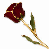 24K GP Real Long Stem Red Rose Love Gift - Cailin's