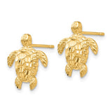 14K Yellow Gold Sea Turtle Post Earrings - Cailin's