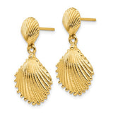 14K Yellow Gold Scallop Seashell Earrings - Cailin's