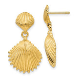 14K Yellow Gold Scallop Seashell Earrings - Cailin's