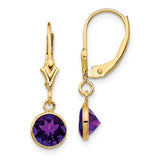 14K Yellow Gold Amethyst Leverback Earrings - Cailin's