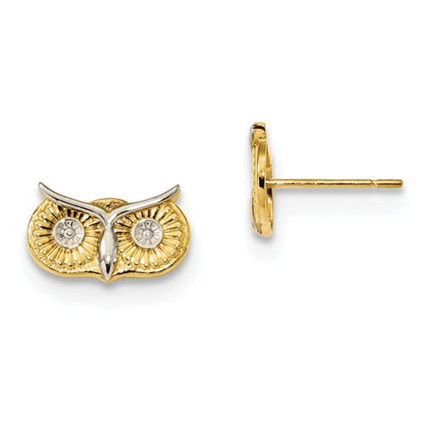 14K Yellow Gold Wise Owl Post Earrings - Cailin's