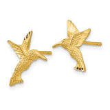14K Yellow Gold diamond Cut Hummingbird Post Earrings - Cailin's