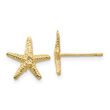 14K Yellow Gold Starfish Story Post Earrings - Cailin's
