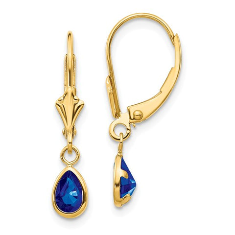 14K Yellow Gold Genuine Sapphire Leverback Earrings - Cailin's