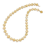 14K Yellow Gold Golden South Sea Pearl Necklace - Cailin's